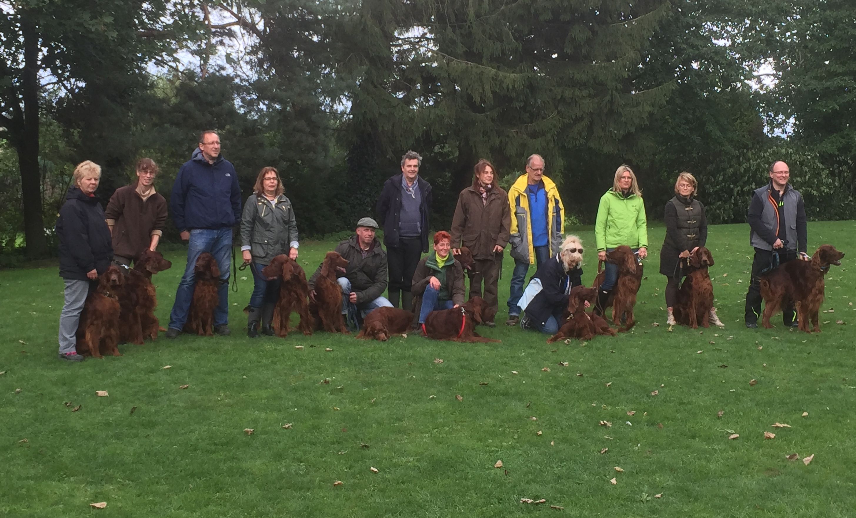 Wesenstest beim Irisch Setter Club Deutschland